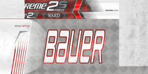 5bc9b3494eccf_WardCHIstick.thumb.png.2c077973f7a1c2bc65297b9a4452c063.png