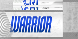5bcd32455971b_LehnerNYIstick01.thumb.png.9d1f639219b66a18972eba2adac0e85b.png