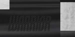 5bcd3249b3f5a_LehnerNYIstick03.thumb.png.609cc2e5d8852493db03e1a7280d2036.png