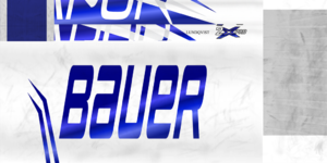 5bcd32755fe77_LundqvistNYRstick.thumb.png.1d896d19a52c89c2955989dca4e8bd28.png