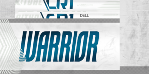 5bcde4c948d13_DellSJSstick.thumb.png.e6493d9a63916f1badd3771143e422a0.png