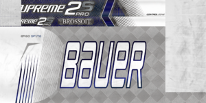 5bceb202493de_BrossoitWPGstick.thumb.png.73afea8d5de84a63534321810ff3544a.png