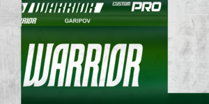 5bf7abc09c6fb_AKBGaripovstick1819.thumb.png.2da1575fb5bfa9325ee564c24d0c94e3.png