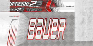5bf9750f2a8a5_AVABobkovstick1819.thumb.png.559bc140a130f4cc76f7c4839cf7236b.png