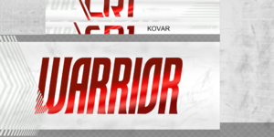 5bfa12771ab87_AVTKovarstick1819.thumb.png.9e8c0939bc53c1ece19ba69d8588b6ac.png