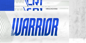 5bfb622579da4_BARHrachovinastick1819.thumb.png.e36ec0b00bb602eb4bc310b6915cf440.png