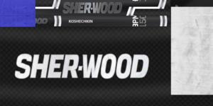 5c00c30f51e32_MMGKoshechkinstick1819.thumb.png.78975d1315fc57e2509f827e540d2e6c.png
