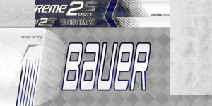 5c00c7e96475e_NKHKorotaevstick1819.thumb.png.28e0d791a3f022f6dbd85f97e42a9119.png