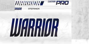 5c04ab49c670c_SLOStepanekstick1819.thumb.png.720f1f1c36296ac6332f8e856417198b.png