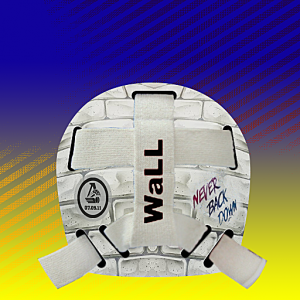 449136569_LOKIlyaKonovalov2018-19backmaskbyslava.thumb.png.d59c9240cff98ffeb9f13d3ff35d331d.png