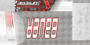 1423945316_AVTGross19-20stick.thumb.png.7bcd93e20589a41fc67930f14058f3a8.png
