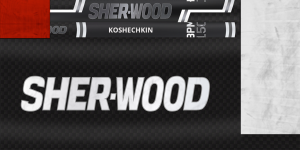 1663675906_MMGKoshechkin19-20stick.thumb.png.d2ae544b562c62976cbbacde3b316190.png