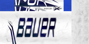 804700428_NKHBarulin19-20stick.thumb.png.c7f9af0a7188c5f5575706407b168977.png