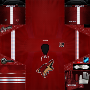 AC Home  2014-15.png