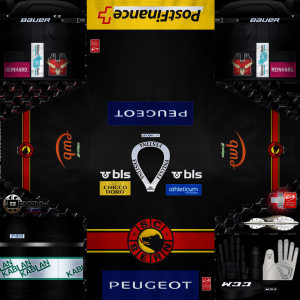 SC Bern Home 2015-16.png