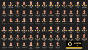 1380535821_BostonBruinsOrganization2019-20.thumb.PNG.f0c166b0805698e1f4b7494b4ba85184.PNG