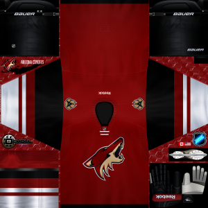 AC Home 2015-16.png