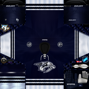NP Alternate 2009-11.png