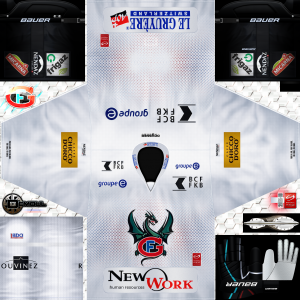 HC Fribourg-Gotteron Away 2015-16.png