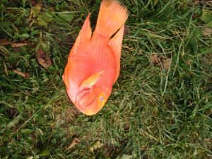 IMG_20191022_130106.jpg