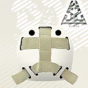 backmask.png.e9a699e38e10dc3752c8f4780809d3ea.png