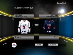 nhl2009 2020-01-24 20-16-28-15.png
