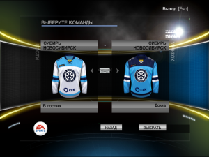 nhl2009 2020-01-19 13-00-26-64.png