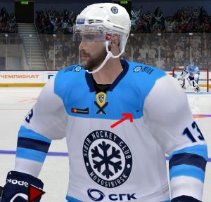nhl2009-2020-01-19-12-46-15-738.jpg