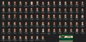 64890382_MinnesotaWildOrganization2019-20.thumb.PNG.db358f3e76050f57659c7af534164697.PNG