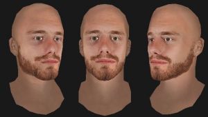 100.jpg