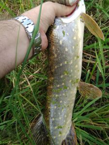 IMG_20200912_121922.jpg