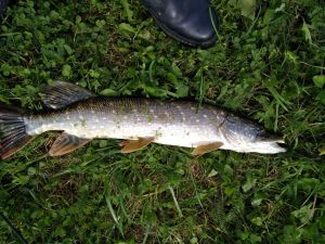 IMG_20200912_122035.jpg
