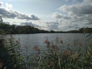 IMG_20200912_135135.jpg