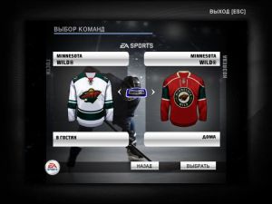 nhl2009 2021-01-20 22-34-09-276.jpg