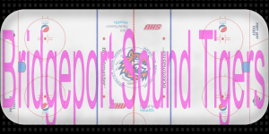 132_BRI_Ice_2021.thumb.png.d77fd0722aab9df7f1b6943a72ec63fa.png