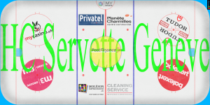 660329253_HCServetteGeneve_Ice_2021.thumb.png.8cb4fddbad43084417e87ba5b5e918db.png