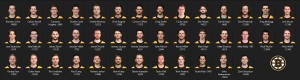 1129875149_BostonBruins.thumb.PNG.06ce2854205e36464487004cf8d8397e.PNG