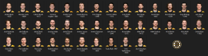 260603295_BostonBruins.thumb.PNG.3deeb95e0c9a214c51b44cff627212e9.PNG