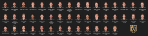 644743403_VegasGoldenKnights.thumb.PNG.4539d19a4ff4131cbca39d7cb6d58c98.PNG