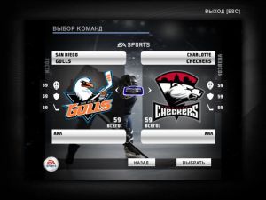 nhl2009 2021-05-02 13-04-00-867.jpg