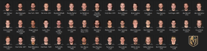 1562255278_VegasGoldenKnights.thumb.PNG.926f5fc1162484a6480f3b5029e16177.PNG
