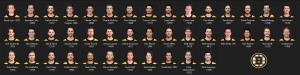 1794793994_BostonBruins.thumb.PNG.c05df265014b41f85dd86b5d3db7b7d7.PNG