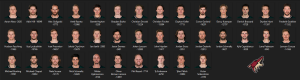 2144988109_ArizonaCoyotes.thumb.PNG.21975d30315ac82a822a601f22e36d1d.PNG