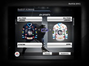 nhl2009 2021-07-07 11-04-28-773.jpg