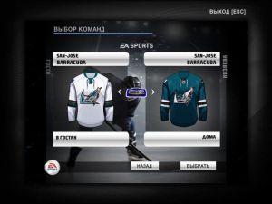 nhl2009 2021-07-07 11-05-07-030.jpg