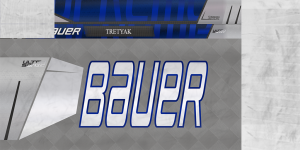 1216234794_SCHTretyak21-22stick.thumb.png.d59f340a8b5bcac214c0a5074fe99eaa.png