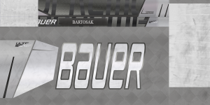 194064031_AMRBartosak21-22stick.thumb.png.0f93117c0cd4af8dfaff018806f856a7.png