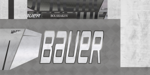 45731731_DNMBolshakov21-22stick.thumb.png.bbd76d633d2ddce57e6796b44b2b8af5.png