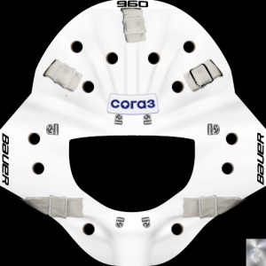 mask.thumb.png.d145ef8e240f30418e0803783ef3ccec.png