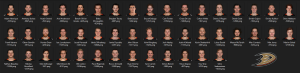 2112839567_AnaheimDucks.thumb.PNG.2bb4eb3d981d01fe568cc4ea63e3de89.PNG